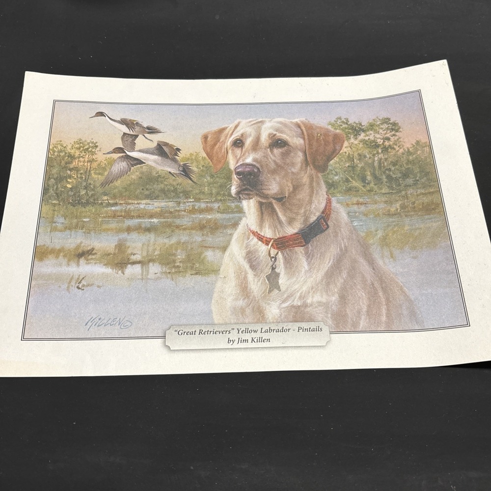 Jim Killen Great Retrievers Yellow Labrador Pintails Art Print 11x9 Duck Dog